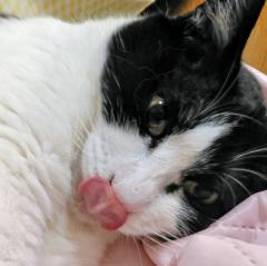 �^���s������̔����o���̃T���l�C���摜