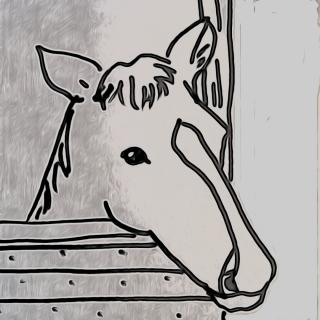 ���������؂ɂ��邱�ƁB�̃T���l�C���摜