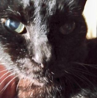 �K���Ƃ́H�̃T���l�C���摜