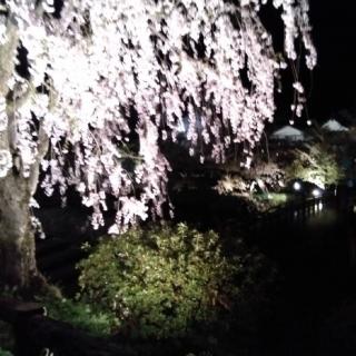 ����҂R�@���؈�ࣂȖ�����ς��I�̃T���l�C���摜