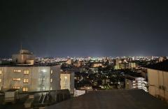 �S��29���@�����^�̃T���l�C���摜