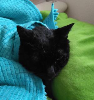 �����l�͂��Ȃ��Ƀp���[��������̃T���l�C���摜