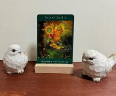 �����̃��b�Z�[�W�i2024�N9��14���j�̃T���l�C���摜