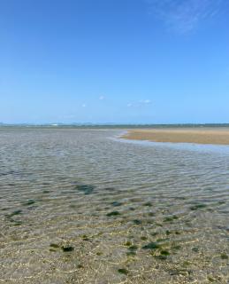 �����͂̃T���l�C���摜