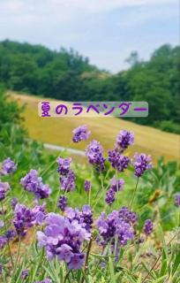 �Ă̓��x���_�[�ŃG�l���M�[��[�I�̃T���l�C���摜