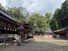 �{�N���ǂ�����낵�����肢�������܂��B�̃T���l�C���摜