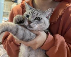 �ɂ��ɂ��ɂ��̓��̃T���l�C���摜