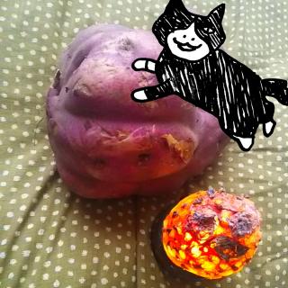 �H�̊J�^�H�O�O���F��؂ŉ^�ƃr�^�~�����̃T���l�C���摜