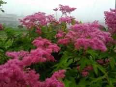 �p�\�R���̔����ւ��̃T���l�C���摜