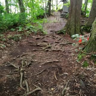 ��}�̎��̎����\�a�c�΂ŕs�v�c�̌��I�̃T���l�C���摜