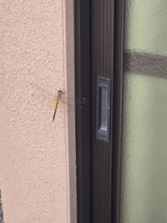 �V��15���@�����^�̃T���l�C���摜