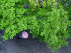 ���̎����̑̒��Ǘ��̑�؂��̃T���l�C���摜