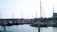 ���t���a�̃T���l�C���摜