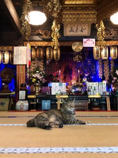 ��̖����̃T���l�C���摜