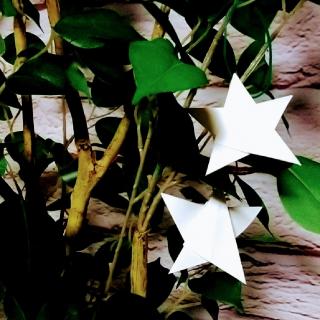 �N���X�}�X�̃I�[�i�����g�̃T���l�C���摜