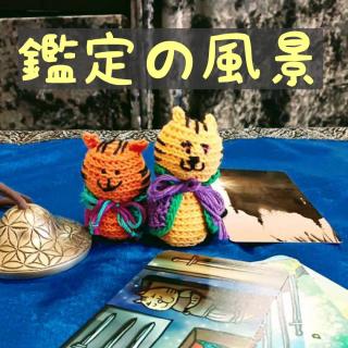実際はどういう風に鑑定しているの？のサムネイル画像
