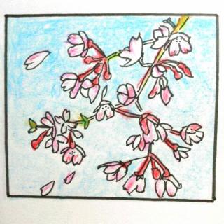 �h�R���V���b�v��AKB�H�̃T���l�C���摜