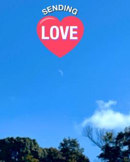 ����̂͂��܂�R4.1.11���̂̃T���l�C���摜