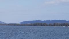 �V�����ɂẴT���l�C���摜