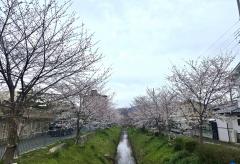 �S��11���@�^���̃T���l�C���摜