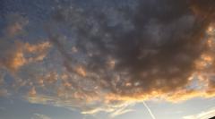 �T���̉^���̃T���l�C���摜