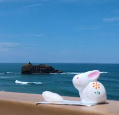 �P��24���@�����^�̃T���l�C���摜