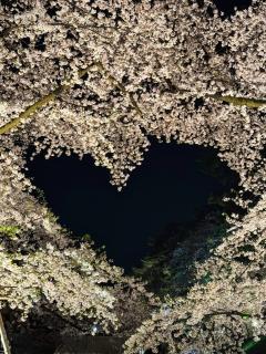 �y�����^�A�b�v�z�K���I���̃n�[�g�摜�̃T���l�C���摜