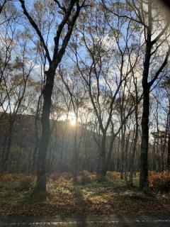 ������O���āA�A�A�̃T���l�C���摜