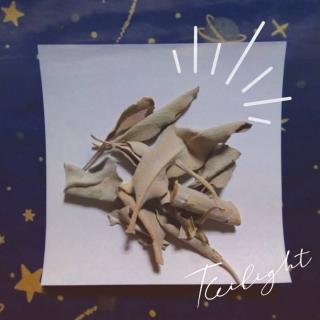 �z���C�g�Z�[�W�̃X�}�b�W���O�̎d���̃T���l�C���摜