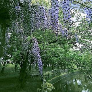 ���ԉ摜�ɕ֗��ȉ��H�A�v���̃T���l�C���摜