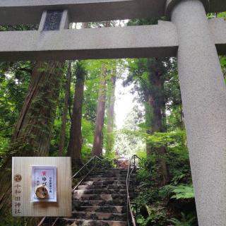 �R�̂Ă��؂񌩂��͖{�a�@�\�a�c�_�Ђ̃T���l�C���摜