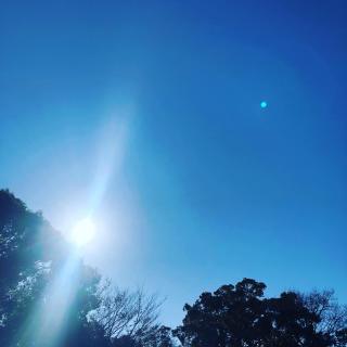 ����Q��̃T���l�C���摜