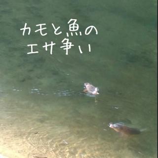 �肢��������h�^�ʓ����h�@���Ŕ����I�̃T���l�C���摜
