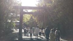 �ɐ��܂���̃T���l�C���摜