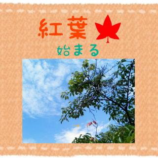 �y�H�̋C�z�z�������H����������D���̃T���l�C���摜