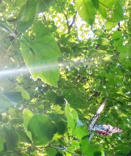 �L���L���ƕ����̃T���l�C���摜