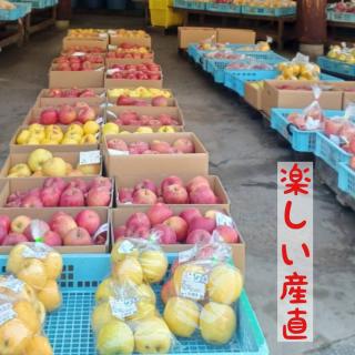 ���̊p�Ƀz�^�e�����I�Y���f�[�g�̖��͂̃T���l�C���摜