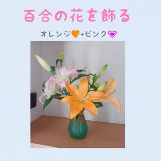 �y�J�^�z���ւɕS���̉Ԃ�����̃T���l�C���摜