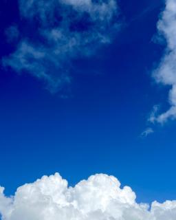 �ȁ[�|�[�|�I�̃T���l�C���摜