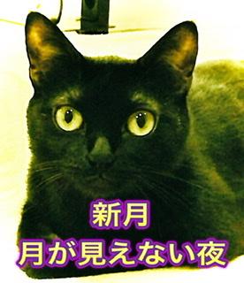 ��x�����~�܂�O���C���H5.1.���̂̃T���l�C���摜