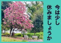 ���͏����x�ގ�����R4.4.14���̂̃T���l�C���摜