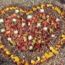 9��5���@�����^�̃T���l�C���摜