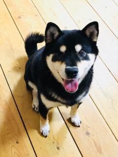 �����̒��̃G�l���M�[�����߂邱�Ƃ̃T���l�C���摜