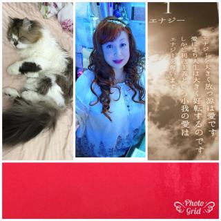 �_�l����̃��b�Z�[�W�̃T���l�C���摜