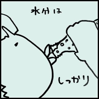 �����͗͂Ȃ�̃T���l�C���摜