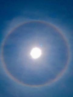 �_��I�ȝ�̈Ӗ��u�K�^�̒����v�̃T���l�C���摜