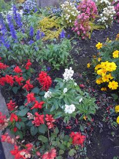 �{��I��ł݂���ł����˂̃T���l�C���摜