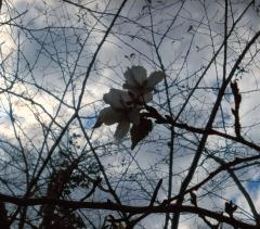 ���z�̃t���A������Ȃ���Ȃ̃T���l�C���摜