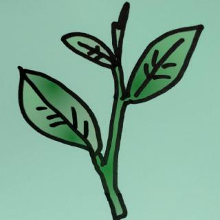 �a�����v���[���g�ɂ́u���Z�v���������߂̃T���l�C���摜