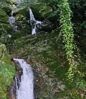 ���ԂƎ���̔g���̋��Ԃɂ̃T���l�C���摜